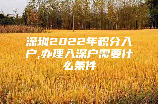 深圳2022年积分入户,办理入深户需要什么条件