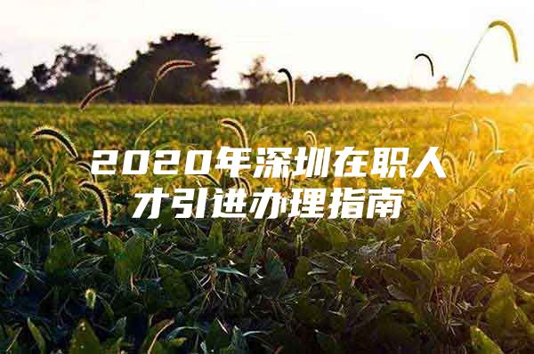 2020年深圳在职人才引进办理指南