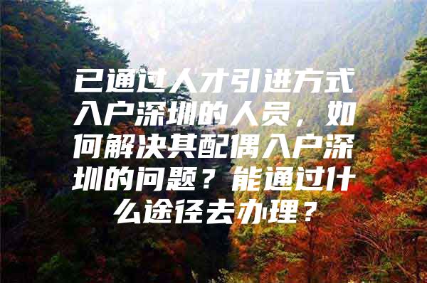 已通过人才引进方式入户深圳的人员，如何解决其配偶入户深圳的问题？能通过什么途径去办理？