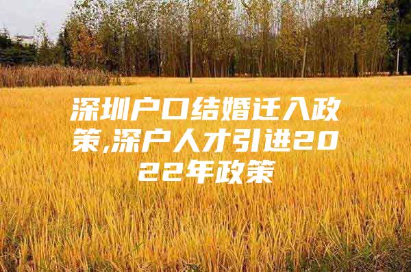 深圳户口结婚迁入政策,深户人才引进2022年政策