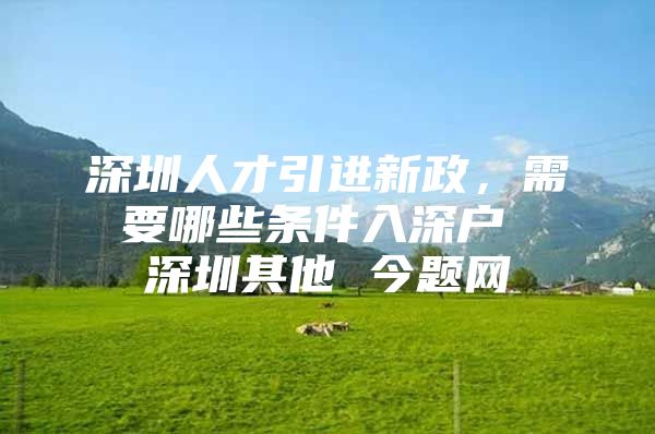 深圳人才引进新政，需要哪些条件入深户 深圳其他 今题网