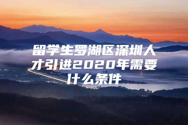 留学生罗湖区深圳人才引进2020年需要什么条件