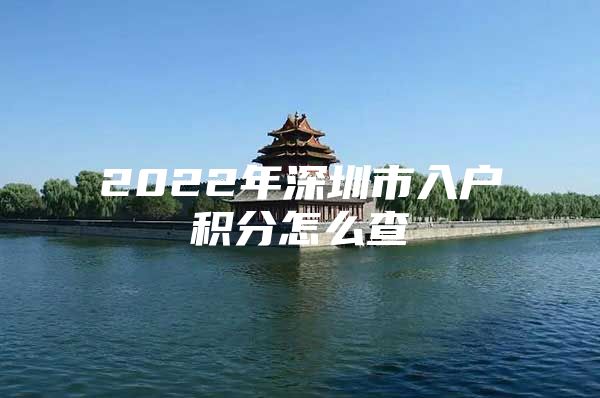 2022年深圳市入户积分怎么查