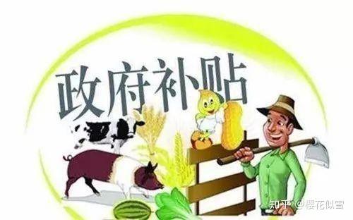 深圳人才引进申请补贴的常见问题及解答！