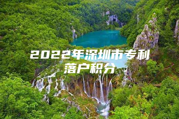 2022年深圳市专利落户积分