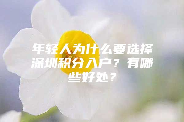 年轻人为什么要选择深圳积分入户？有哪些好处？