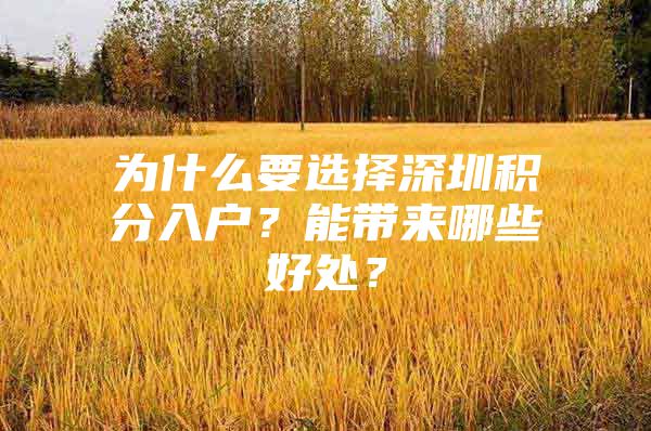 为什么要选择深圳积分入户？能带来哪些好处？