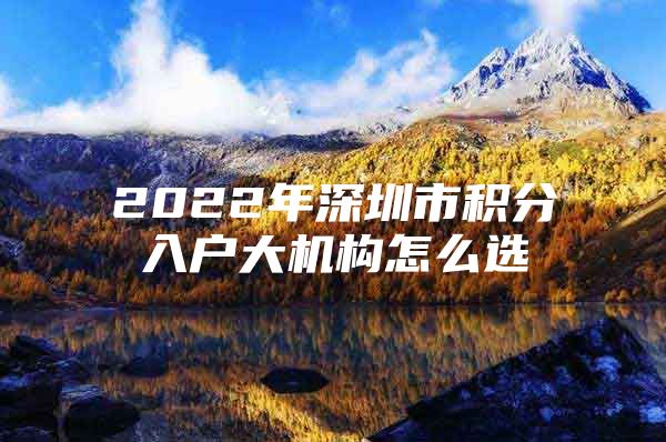 2022年深圳市积分入户大机构怎么选