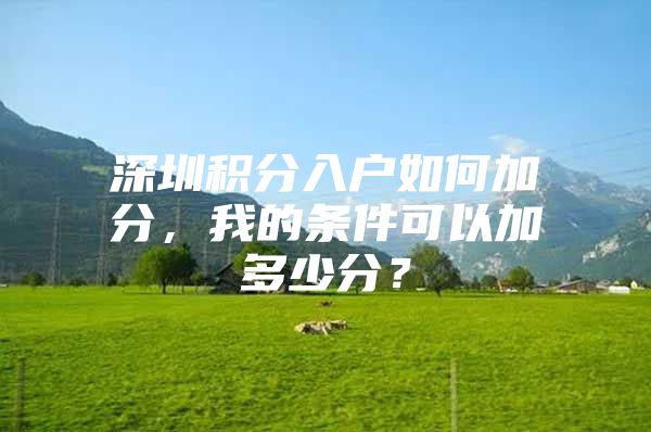 深圳积分入户如何加分，我的条件可以加多少分？