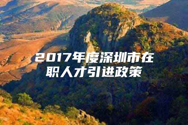 2017年度深圳市在职人才引进政策