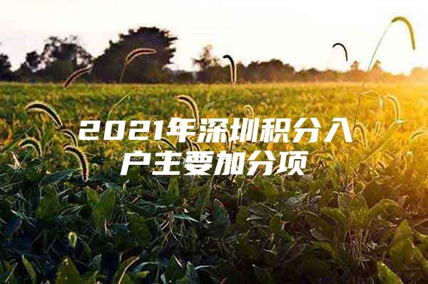 2021年深圳积分入户主要加分项