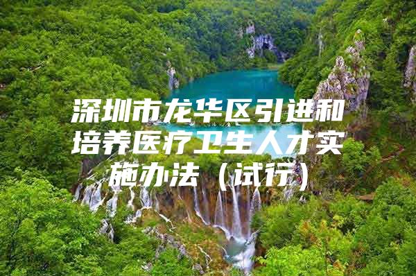 深圳市龙华区引进和培养医疗卫生人才实施办法（试行）