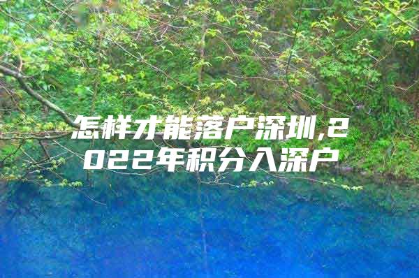 怎样才能落户深圳,2022年积分入深户