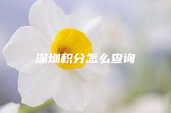 深圳积分怎么查询