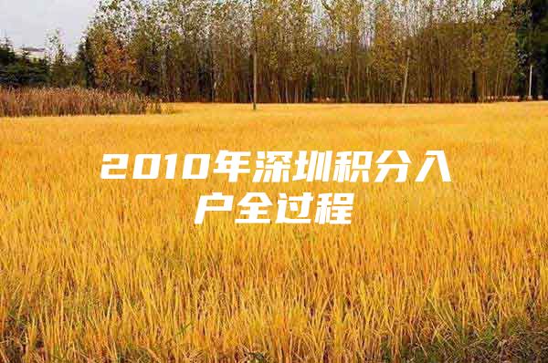 2010年深圳积分入户全过程