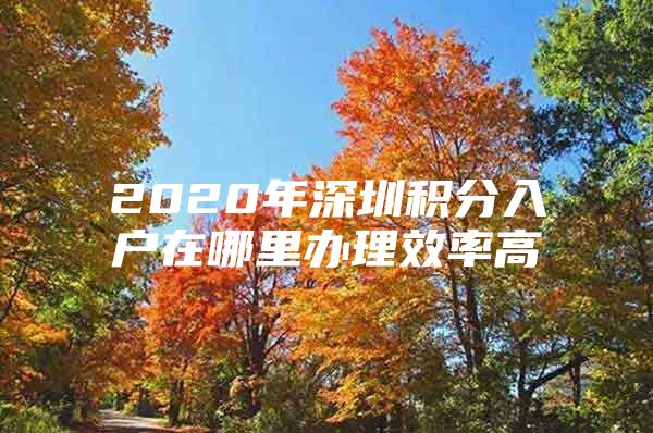 2020年深圳积分入户在哪里办理效率高