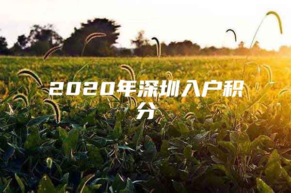 2020年深圳入户积分