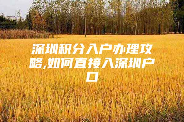 深圳积分入户办理攻略,如何直接入深圳户口