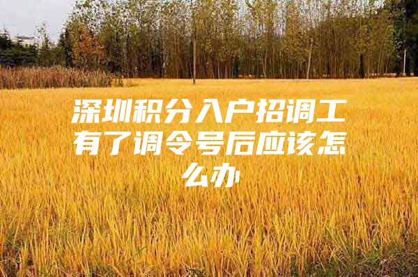 深圳积分入户招调工有了调令号后应该怎么办