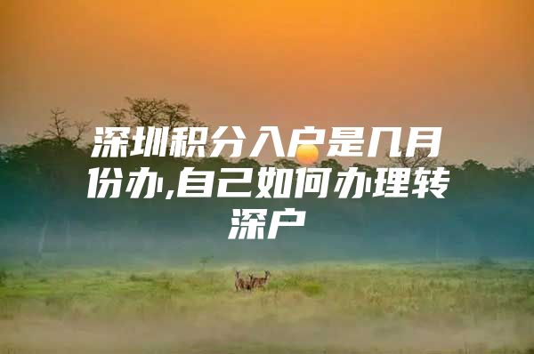 深圳积分入户是几月份办,自己如何办理转深户