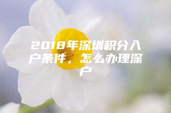 2018年深圳积分入户条件，怎么办理深户