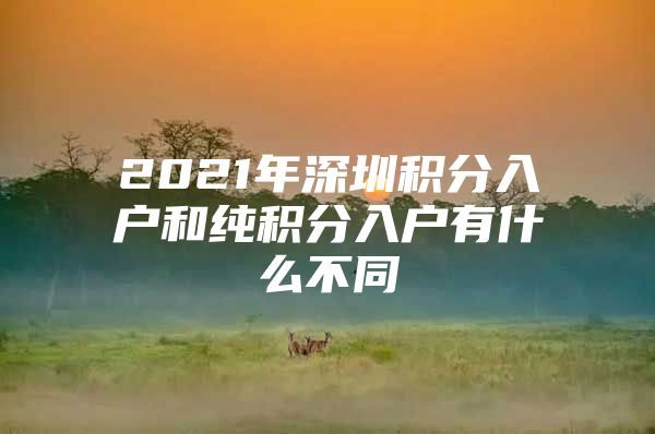 2021年深圳积分入户和纯积分入户有什么不同